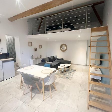 A Deux Pas Des Peniches Apartment Castelsarrasin Ngoại thất bức ảnh